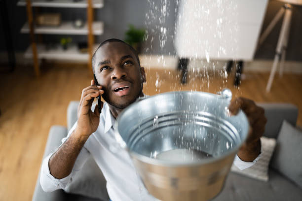 Best Mold removal after water damage  in Bartonvle, IL