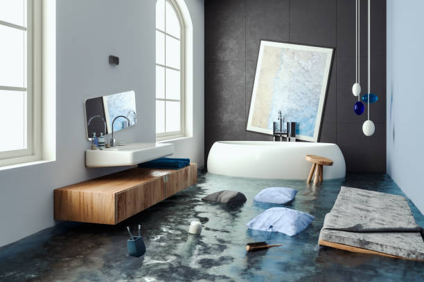  Bartonvle, IL Water damage restoration Pros