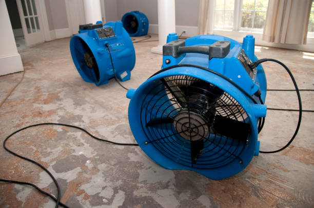 Best Mold removal after water damage  in Bartonvle, IL