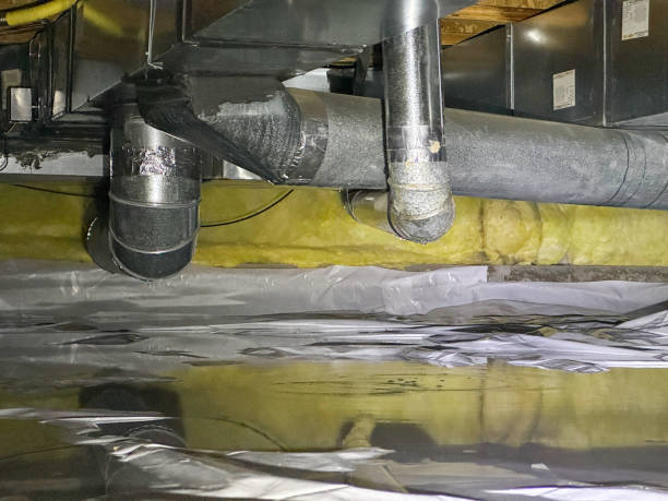 Best Ceiling water damage repair  in Bartonvle, IL
