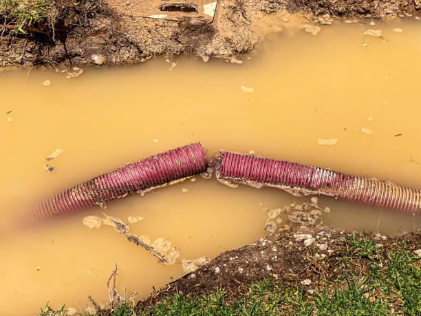 Best Basement water damage restoration  in Bartonvle, IL