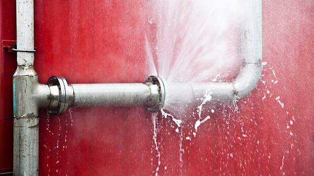 Best Water damage restoration process  in Bartonvle, IL