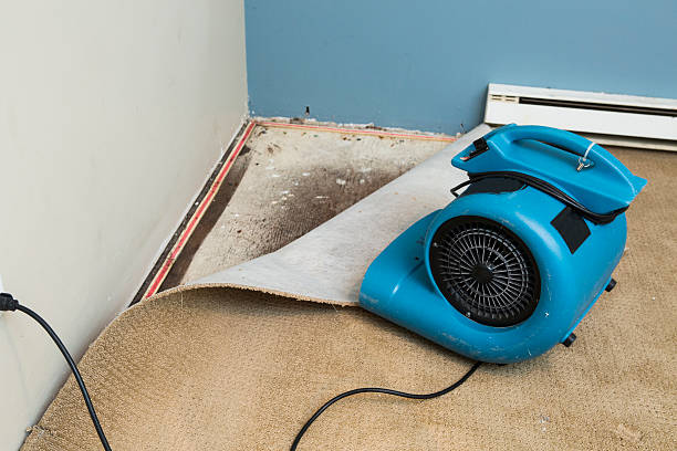 Local water damage restoration in Bartonville, IL